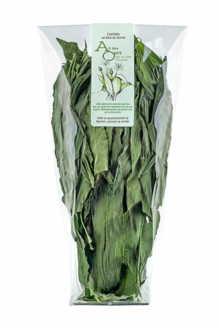 Feuilles d'aïl des ours